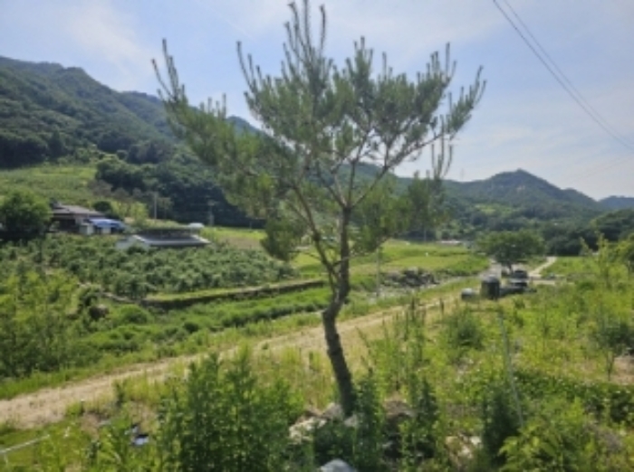 목록 4 제시 외 조경수