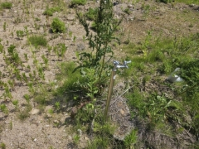 목록 4 제시 외 수전 및 수목