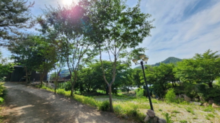 본건 3 조경수 및 가로등