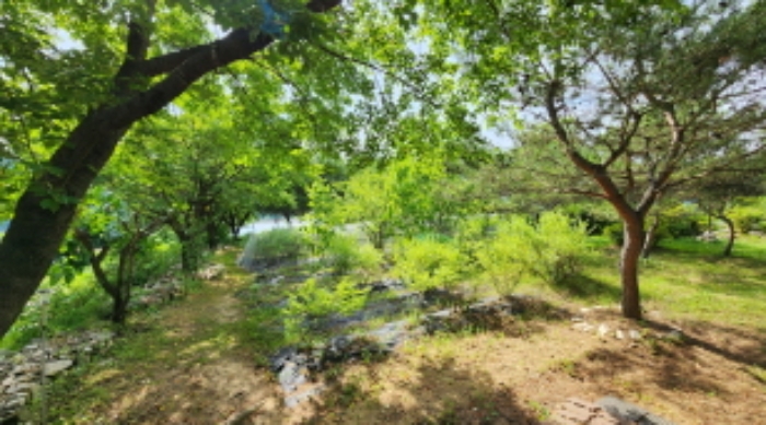 본건 5 전경 및 조경수