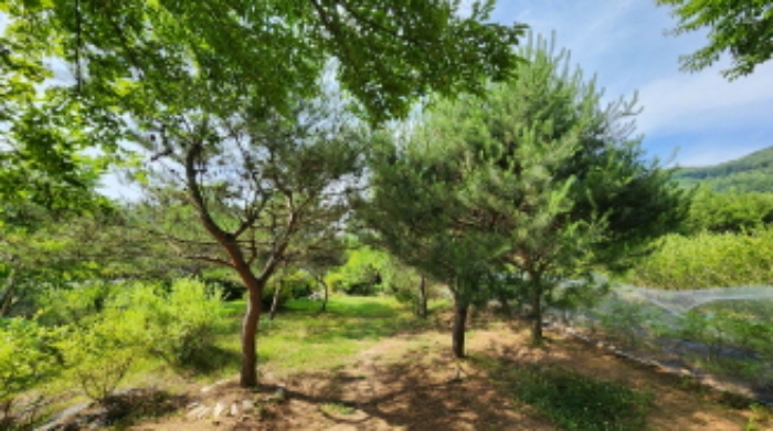 본건 5 전경 및 조경수