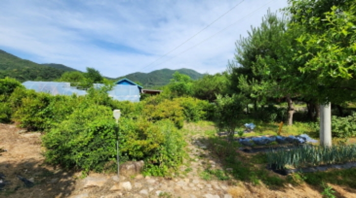 본건 5 전경 및 조경수