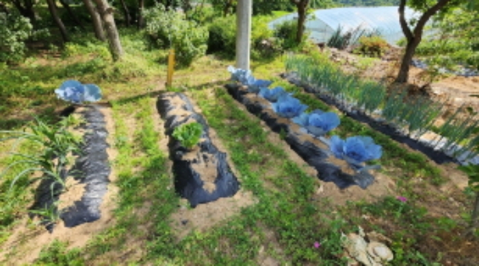 본건 5 일부 전으로 이용중임