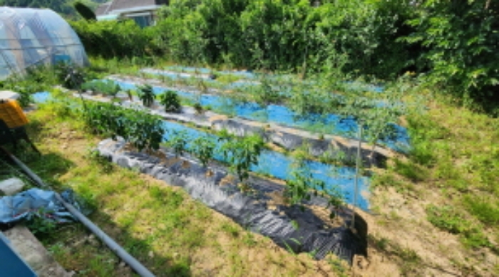 본건 5 일부 전으로 이용중임