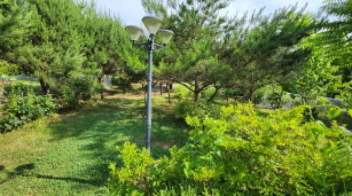 본건 5 전경 및 조경수