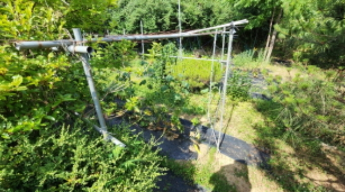 본건 5 제시외 철구조물