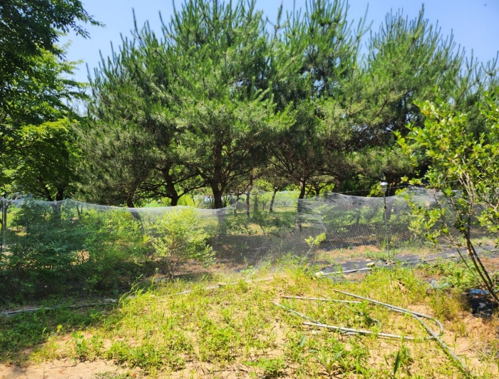 기호 5(동측부분)