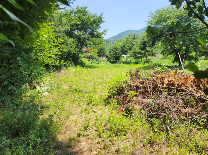 기호 5(동측부분)