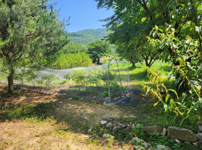 기호 5(서측부분)