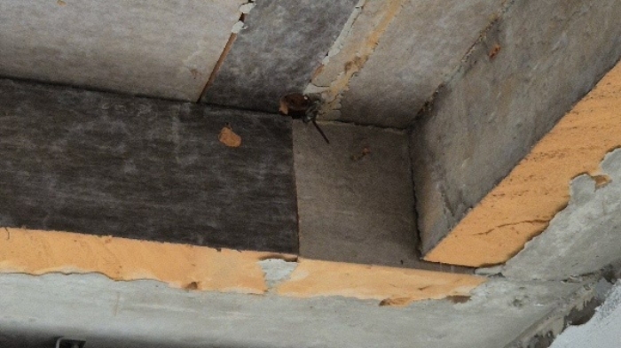 1층 천장2(마감공사가 아직 덜 되어 있음)