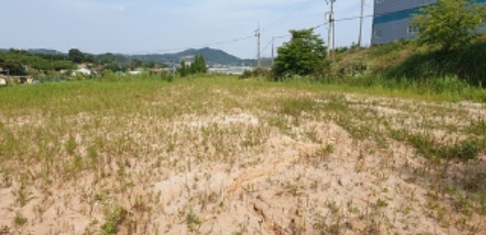 21번 부동산 전경