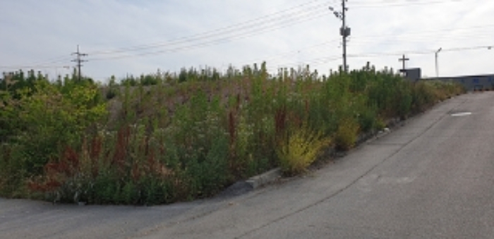 24번 부동산 전경