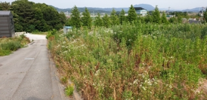 24번 부동산 전경