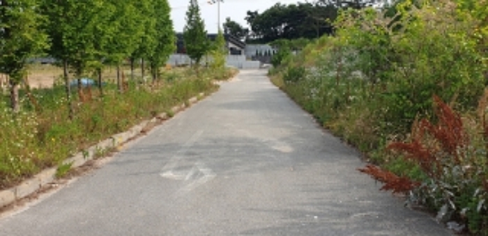 12번 부동산 현황 `도로` 모습