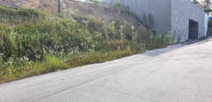 5번 부동산 현황 `도로` 모습