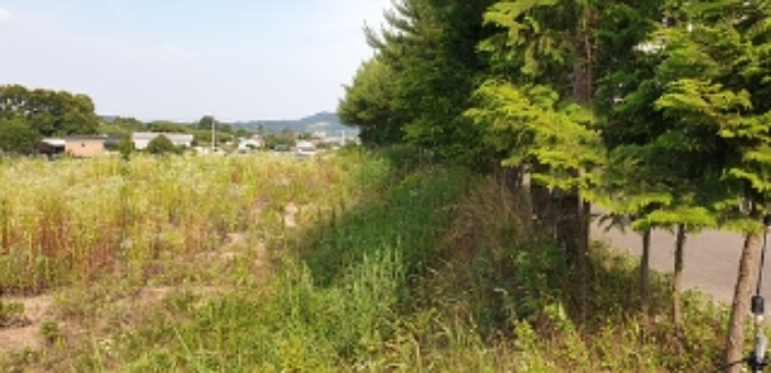 2번 부동산 및 주변 모습