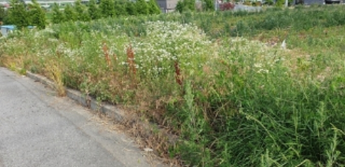 13번 부동산 현황 `나대지` 전경