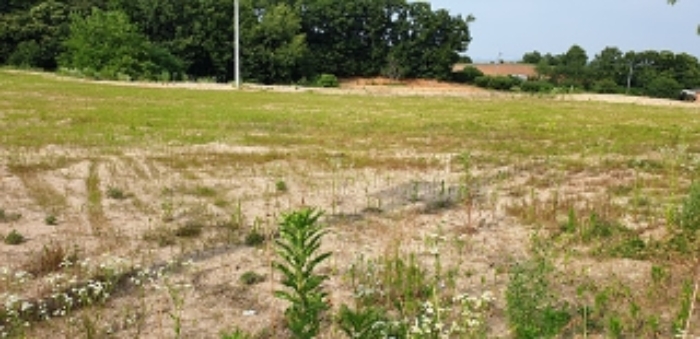 8번 부동산 전경