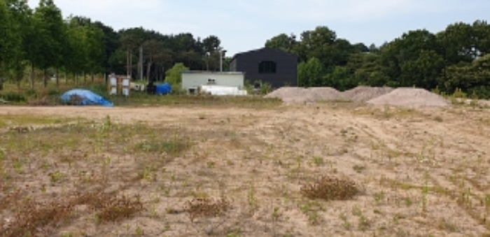 11번 부동산 전경