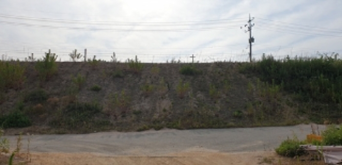 25번 부동산 전경