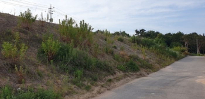 25번 부동산 전경