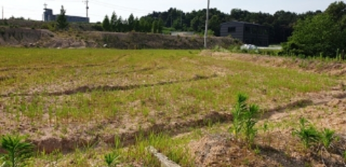 1,8번 부동산 현황 `답` 전경