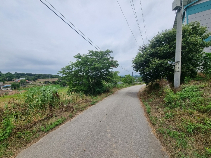 기호 20,21 접면도로 전경