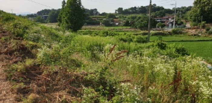 20번 부동산 전경