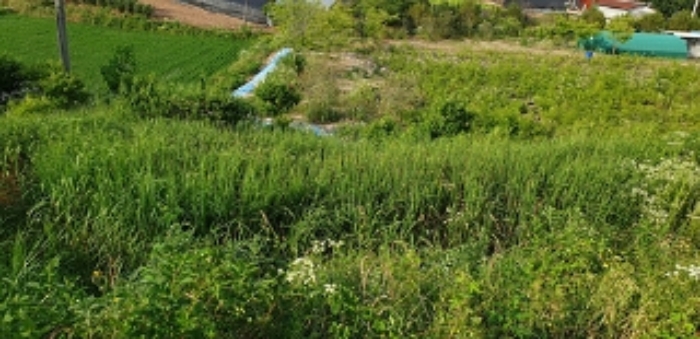 20번 부동산 전경