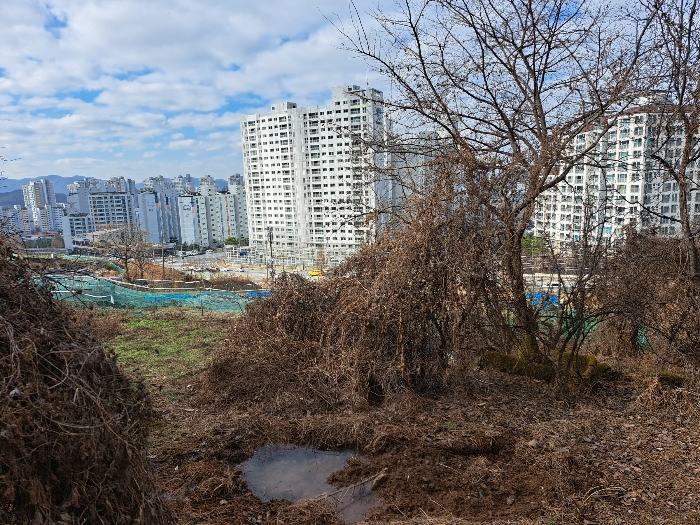 대상물건에서 바라본 서측 주위환경