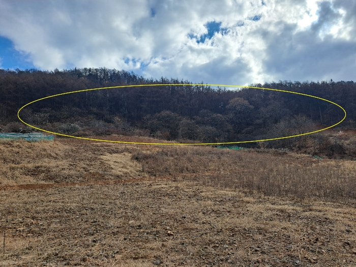 대상물건 1 내지 6