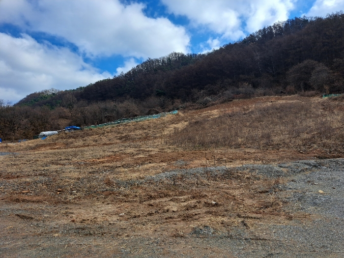 대상물건 및 그 주위환경