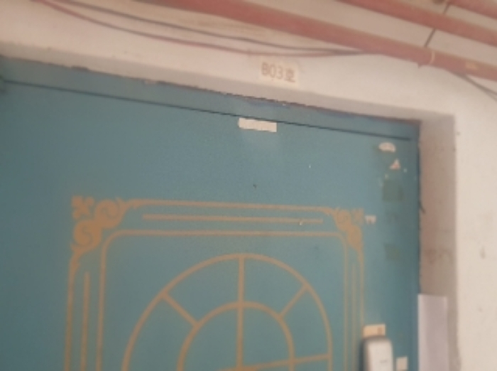 세대현관문(B03)