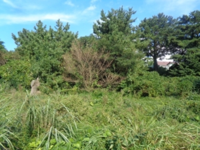 소재지2(유수암리 969-2) 전경 사진