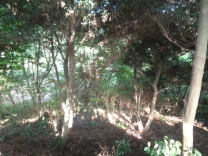 소재지4(유수암리 967-4) 전경 사진