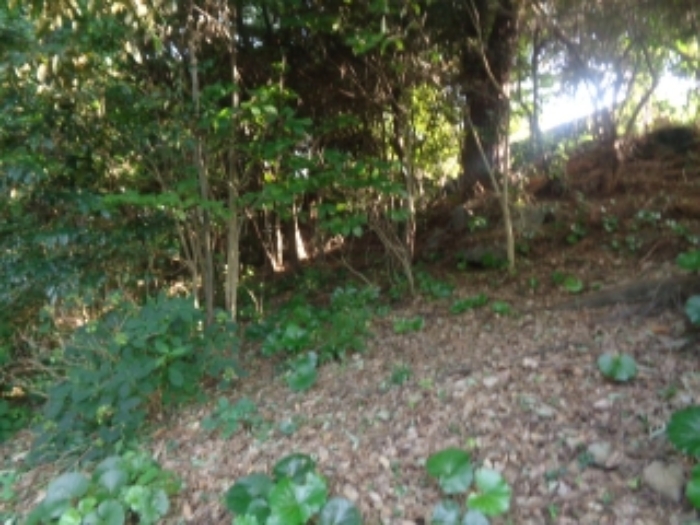 소재지4(유수암리 967-4) 전경 사진