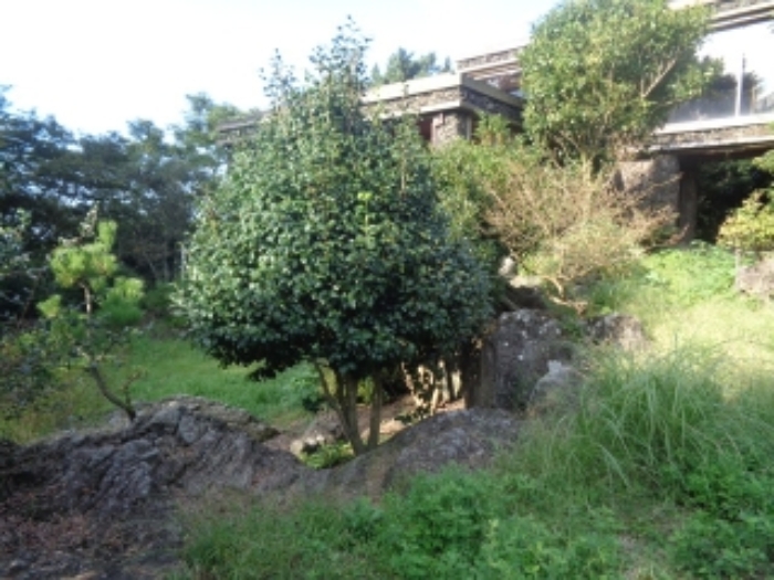 소재지1(유수암리 969) 전경 사진