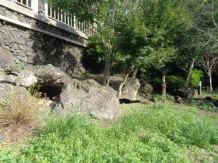 소재지1(유수암리 969) 전경 사진