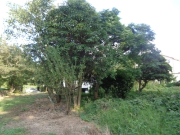 소재지3(유수암리 966-3) 전경 사진