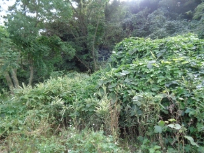 소재지3(유수암리 966-3) 전경 사진