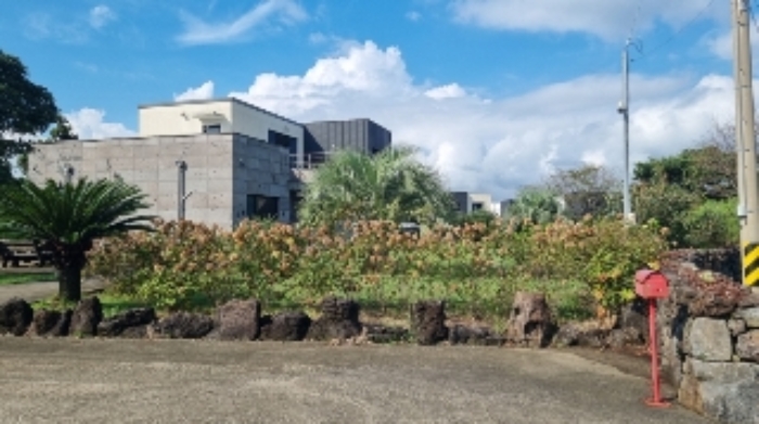 소재지1(표선리 2498-17) 전경