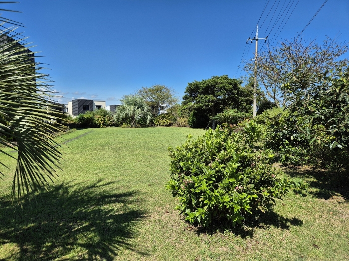 기호(1) 지상 잔디 및 조경수