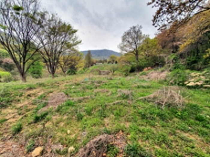 기호3 및 주변전경