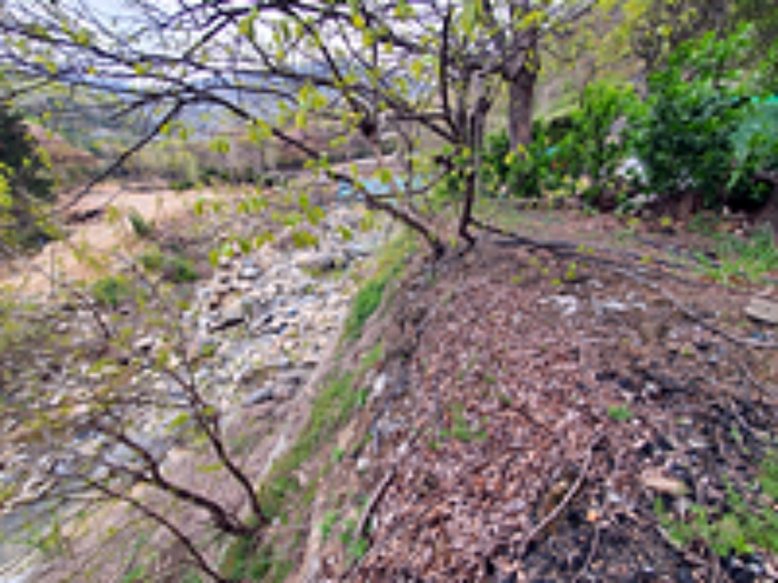 기호7 및 주변전경