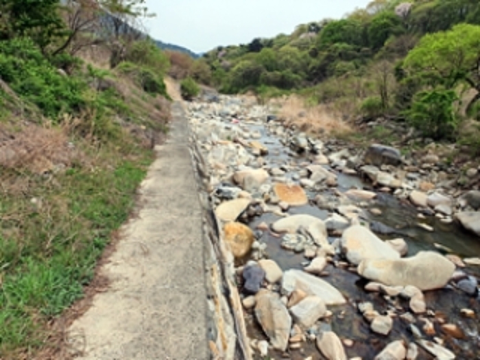 기호8 및 주변전경