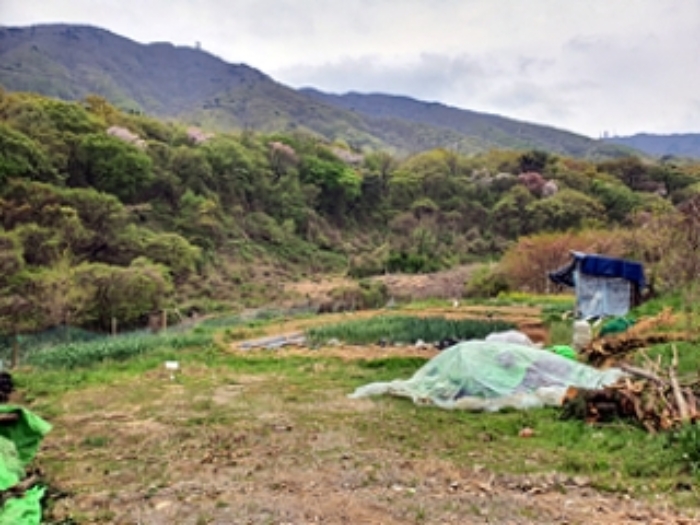 기호9 및 주변전경