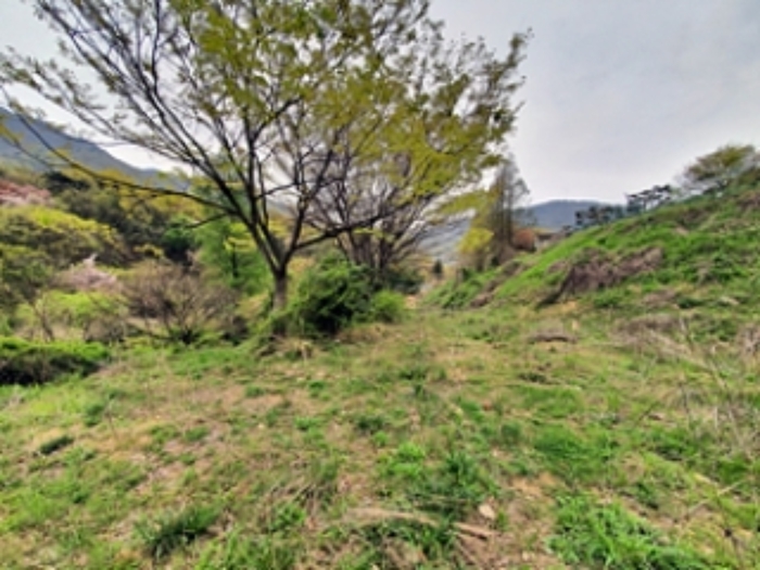 기호4 및 주변전경