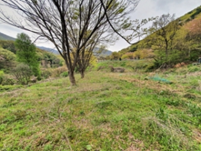 기호6 및 주변전경