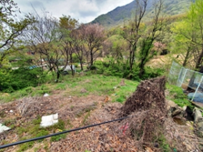 기호10 및 주변전경