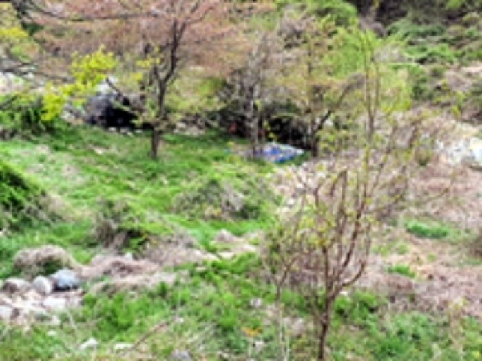 기호9 및 주변전경